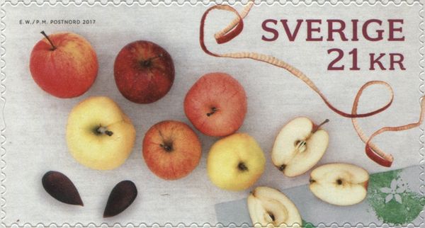 Apples