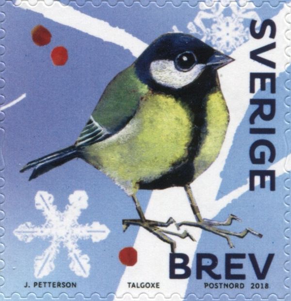 Great Tit (Parus major)