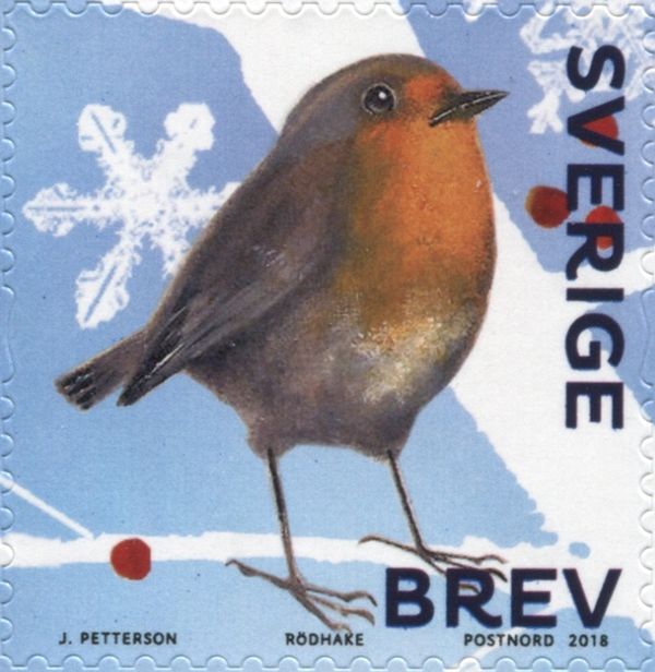 European Robin (Erithacus rubecula)