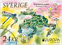 European Green Toad (Bufotes viridis)