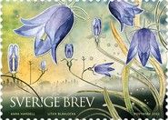 Small Bluebell, Sweden's National Flower