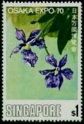 Orchids