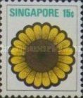 Helianthus angustifolius