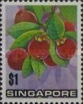 Garcinia mangostana