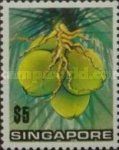Cocos nucifera