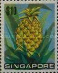 Ananas comosus