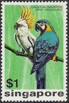 Cacatua galerita, Ara ararauna