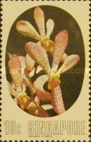 Aranda hybrid