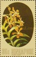 Aranda hybrid