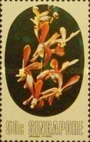 Aranda hybrid