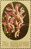 Aranda hybrid