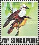 China Thrush (Garrulax canorus), White-crested Laughingthrus