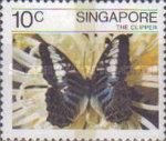 Clipper (Parthenos sylvia ssp. lilacinus)