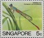 Bi-coloured Damselfly (Ceriagrion cerinorubellum)