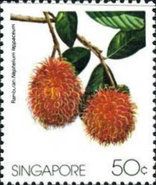 Rambutan (Nephelium lappaceum)