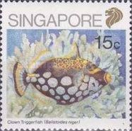 Clown Triggerfish (Balistoides niger)