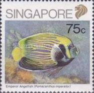 Emperor Angelfish (Pomacanthus imperator)