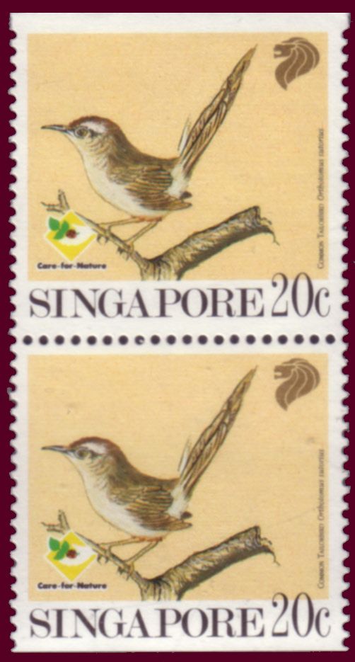 Common Tailorbird (Orthotomus sutorius)