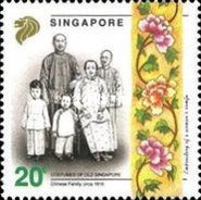 Chinese family and Samfu Pattern