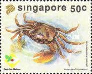 Johnson's Freshwater Crab (Irmengardia johnsoni)