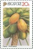 Papaya (Carica papaya)