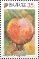 Pomegranate (Punica granatum)