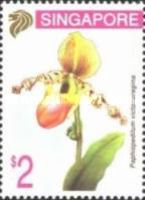 Paphiopedilum victoriaregina