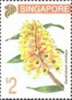 Dendrobium smillieae