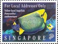 Yellow-faced Angelfish (Pomacanthus xanthometopon)