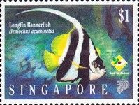 Longfin Bannerfish (Heniochus acuminatus)
