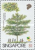 Terminalia catappa