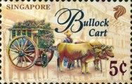 Bullock Cart