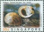 Chameleon Nerite (Nerita chamaeleon)