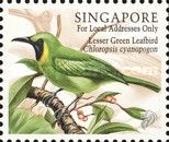 Lesser Green Leafbird (Chloropsis cyanopogon)