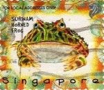 Surinam Horned Frog