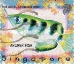 Archer Fish