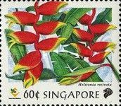 Heliconia rostrata