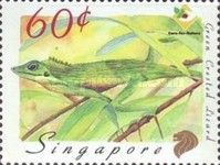 Green Crested Lizard (Bronchocela cristatella)