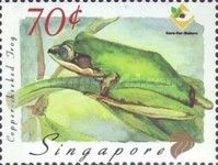 Copper-cheeked Frog (Rana chalconota)