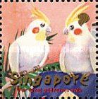 Cockatiels