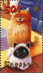 Cats
