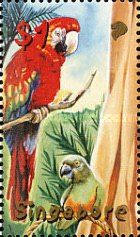 Parrots