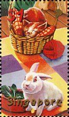 Cat in a basket and Rabbit