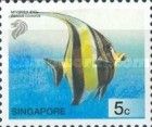 Moorish Idol (Zanclus cornutus)