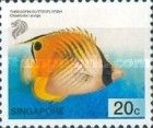 Threadfin Butterflyfish (Chaetodon auriga)