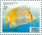 Pearlscale Butterflyfish (Chaetodon xanthurus)