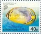 Rainbow Butterflyfish (Chaetodon trifasciatus)