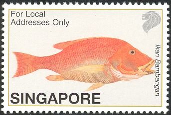 Ikan Bambangan (Lutjanus timoriensis)