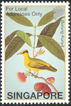 Burung Kunyit