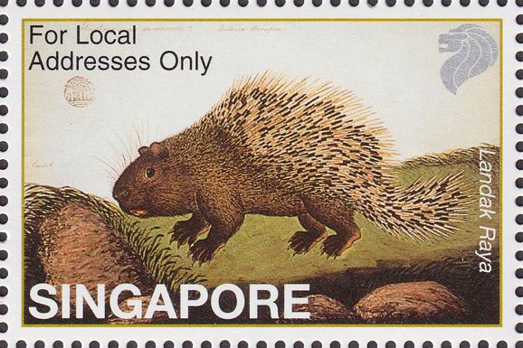 Malayan Porcupine (Hystrix brachyura)